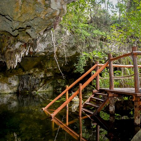 Akumal Natura Glamping Luaran gambar