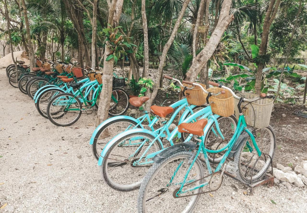 Akumal Natura Glamping Luaran gambar