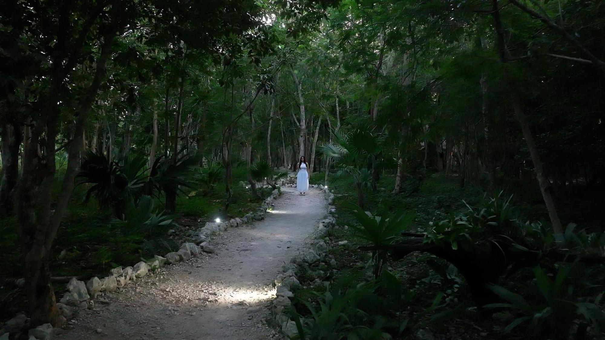 Akumal Natura Glamping Luaran gambar