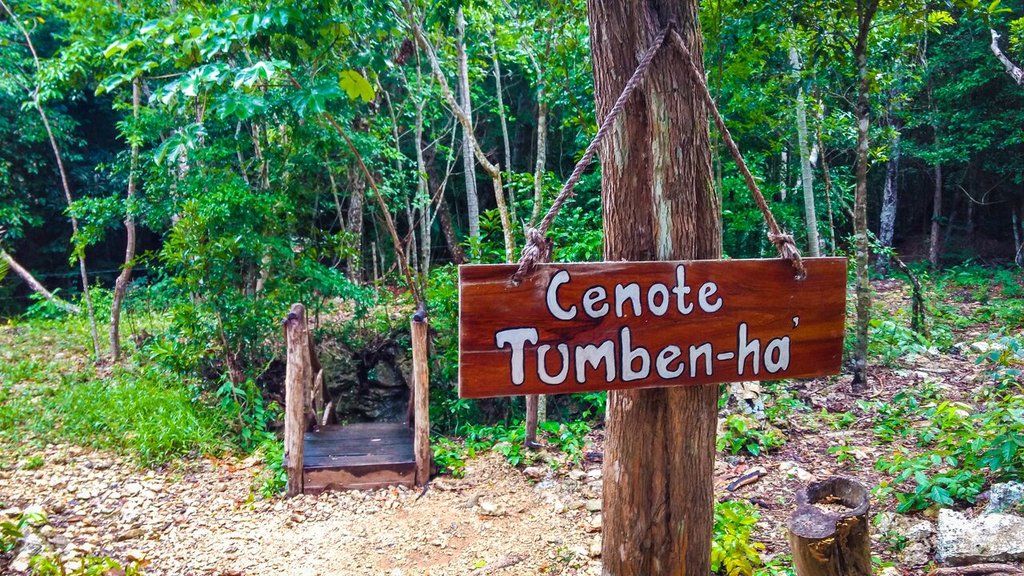 Akumal Natura Glamping Luaran gambar